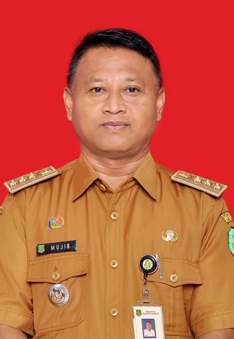 Camat Kecamatan Batang-batang